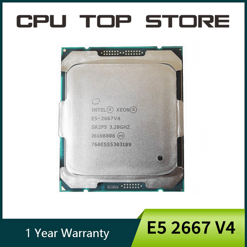 Intel Xeon E5 2667 V4 2667V4 3 – Gold 6248R recenzja i cena